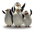 Foule de pingouins